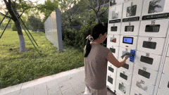 菜鸟近日颁布发表对“全球五日达”跨境快行全 